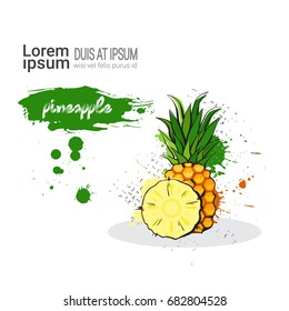 Pineaaple Hand Drawn Watercolor Fruit On White Background With Copy Space Vector Illustration