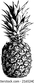 Pineaple exotic fruit, linear sketch vector