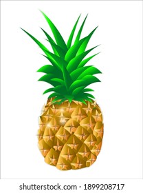 pineaple with leaves on white background