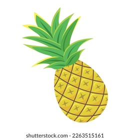 Pineaple vector with minimalist style. Colorful and flat design. Vector illustration. Fruit healthy organic food icon.