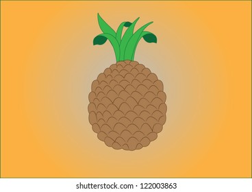 Pineapple