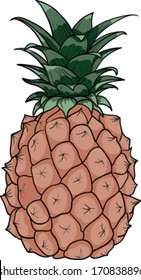  pineapple