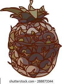 PIneapple
