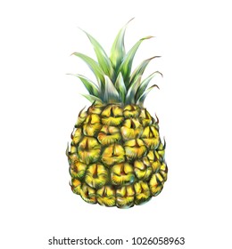 pineapple 3d realistic illustration of a vector of slices and juice

