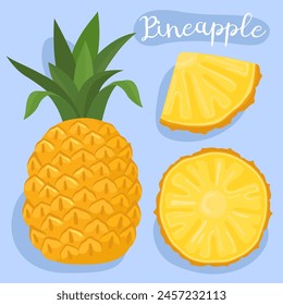 Piña. Ananas comosus. Fruta tropical exótica. Mitad entera y rebanada de piña. Frutas dulces y jugosas. Frutas africanas y asiáticas. Cocinar ingredientes saludables. Ilustración vectorial de dibujos animados. 