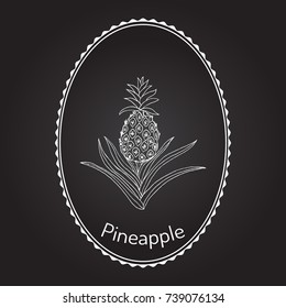 Pineapple (Ananas comosus), tropical plant. Hand drawn botanical vector illustration