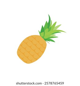 Pineapple ananas vector food symbol fresh fruit illustration