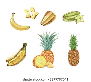 Pineapple Banana Starfruit summer tropical fruit hand drawn water color cross section for postcard packaging design poster invitation card