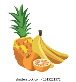 pineapple, bananas and oranges over white background, vector illustration