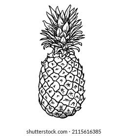 Pineapple black sketch cartoon hand drawn illustration isolated on a white background.