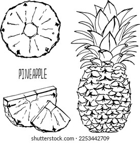 Pineapple black and white vector set isolated on a white background.