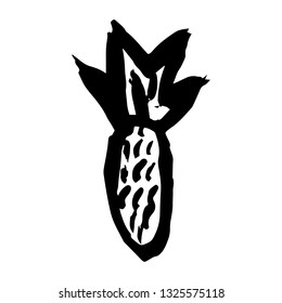 Pineapple brush draw on white background vector illustration hand draw desing 