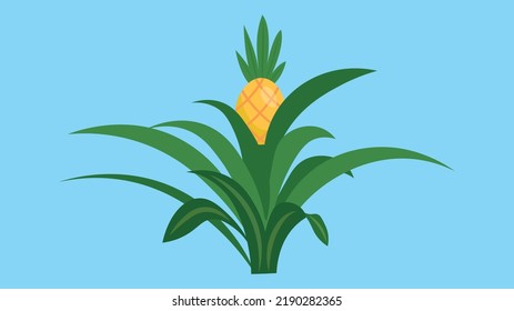 pineapple bush on a blue background