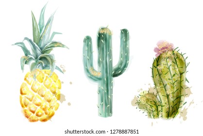 Pineapple and cactus set Vector watercolor. Exotic tropic collection painted styles