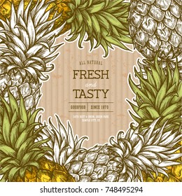 Pineapple cardboard vintage design template. Botanical fruit. Engraved pineapple. Vector illustration