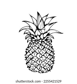 Pineapple in cartoon black and white style for coloring. Vector illustration