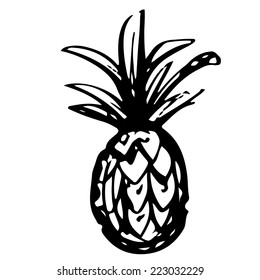 Pineapple cartoon sketch hand drawn illustration isolated on a white background. Icon, sign. Art logo design 