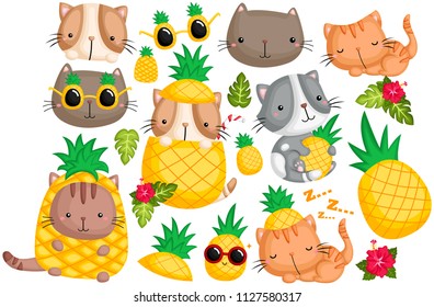 Pineapple Cat Vector Set