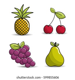 pineapple, cherry, grapes and pear icon