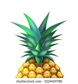 Pineapple closeup realistic fruit. Vector illustration. 3d ripe tropical exotic Juicy fresh food, vitamin healthy dieting. Ananas juice summer vacation organic object, isolated background