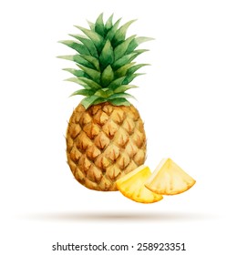 Pineapple and cloves  hand drawn watercolor, on a white background. Vector illustration.