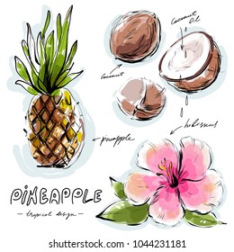 Pineapple, coconut and hibiscus flower isolated vector set drawn in watercolor style for summer tropical illustration, greeting card design, exotic nature banner.