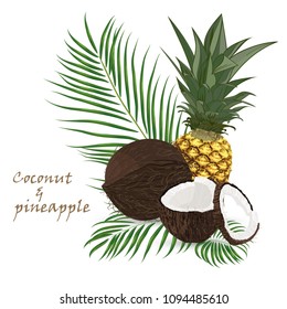 Pineapple, coconut, whole and pieces with palm leaves isolated on white background. Colorful botanical vector ilustration. Vintage tropic design. Good idea for Summer jungle Fashion seamless pattern