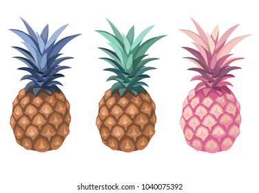Pineapple collection isolated on white background. Vector illustration.