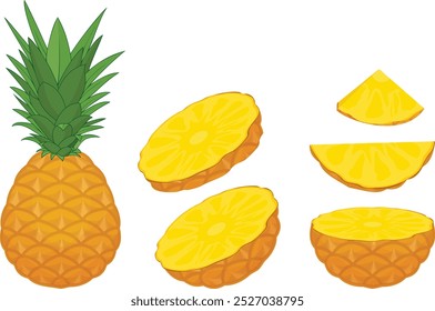 Ananas-Farbscheibe, Vektorgrafik