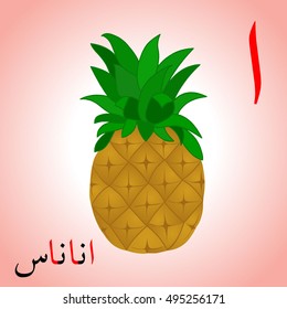 Pineapple colored with Arabic letters "Alif" and Arabic word "ananas" (translated from English - pineapple) vector.