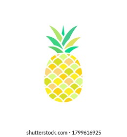 Pineapple colorful icon isolated on white. Pineapple outline tropical fruit vector illustration.