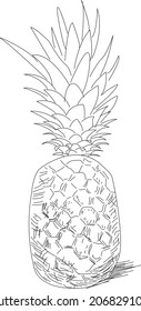 Pineapple coloring page for kids coloring and learning