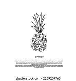 pineapple continuous line. doodle pineapple line art vector