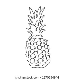 Pineapple continuous line vector illustration