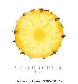 Pineapple cross section watercolor painting isolated on white background. Vector illustration