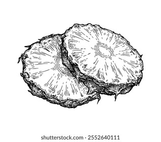 Pineapple cross-section. Ink sketch of fruit. Hand drawn vector illustration. Retro style.