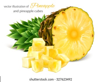 Pineapple and pineapple cubes. Vector illustration.