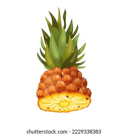 pineapple cut cartoon. fruit white, slice fresh, yellow food, ripe juicy, sweet ananas, piece half, tropical raw, leaf diet, dessert pineapple cut vector illustration