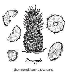 Pineapple and cut slices, doodle drawing with inscription, woodcut style