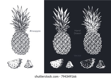 Pineapple - detailed hand drawn art illustration. black ink on white background & white chalk on dark. isolated vector for design packing juice & blackboards