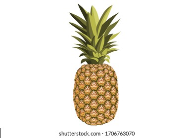 Pineapple detailed illustration. Whole fruit close up, isolated on a white background.