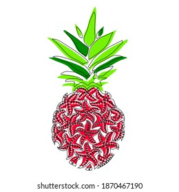 Pineapple. Digital vector detailed lines art pineapple fruit handmade. Pineapple of sea stars.