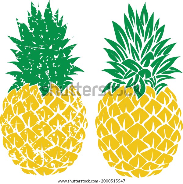 distressed pineapple illustration download