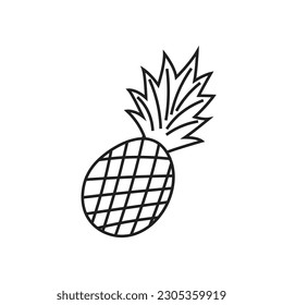 Pineapple doodle hand drawn line art illustration sketch. Ananas black drawn fruit.