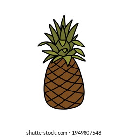 pineapple doodle icon, vector illustration