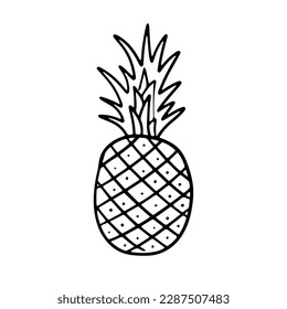 Pineapple doodle illustration. Cute fruit