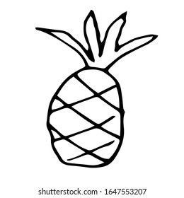 
pineapple doodle style vector illustration