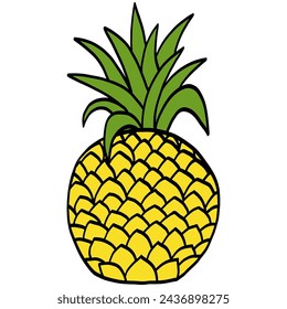 Pineapple Drawing Doodle Line Art Cartoon Illustration Vector