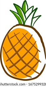 Pineapple drawing, illustration, vector on white background.