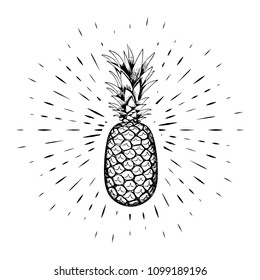Pineapple, drawn by hand, black outline against the background of linear rays. Calligraphy. For design of posters, banners, logos. White background. 10 eps